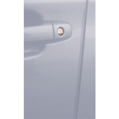 Ascent Door Edge Guard