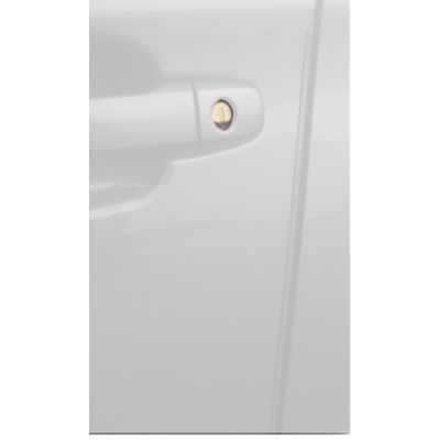 Forester Door Edge Guard (Color Matching)