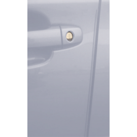 Ascent Door Edge Guard