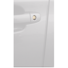 Forester Door Edge Guard (Color Matching)