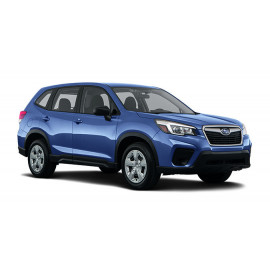 Forester NFB02