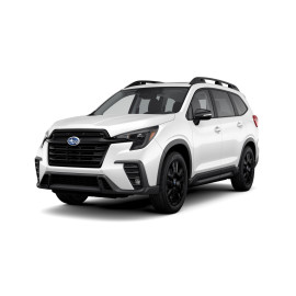 Ascent Onyx Edition 7 Pass PCH22