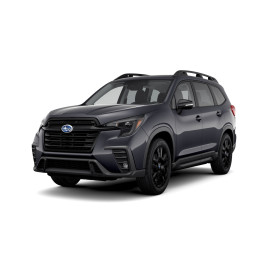 Ascent Onyx Edition 7 Pass PCH22